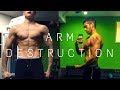 ARM DESTRUCTION | WORKOUT FOR MASS