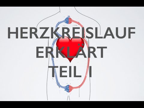 ❤️Herz Kreislauf Teil 1 | Medizin Grundlagen❤️