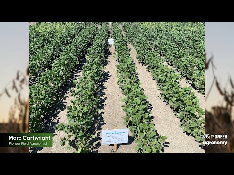 Controlling Difficult Weeds with the Enlist™ Weed Control System