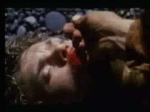 Die Rache des Wikingers - When The Raven Flies