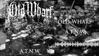 A.T.N.W Music Video