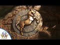 Uncharted The Lost Legacy - Hoysala Token Horse Dial Puzzle Solution