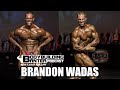 BODYBUILDING BANTER PODCAST |