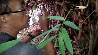 Download lagu KI JAKA LELANA RITUAL PENARIKAN PUSAKA & BATU MUSTIKA DI SUBANG EPISODE KE 6 mp3