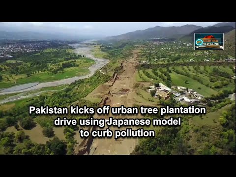 Pakistan kicks off urban tree plantation drive using Japanese model to curb pollution