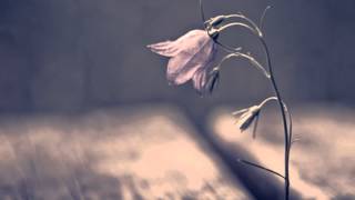 Fading Like a Flower (cover by Rox Scaper)