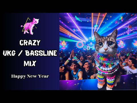 Piyou Patate ✴︎『⩇⩇:⩇⩇』🎉Yearmix 2025 🎉 [ Future House / UKG / Bassline / Dubstep / Hip Hop / Techno ]