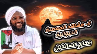 صورة محمد سيد حاج   |  8- مشاهد المعصية الحيوانية   | #مدارج_السالكين #محمد_سيد_حاج
