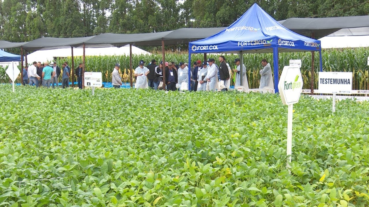 Moinho em Campo é evento técnico voltado para produtores rurais