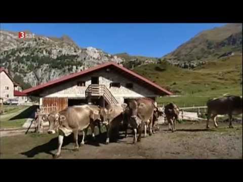 Sehnsuchtsland Italien: Friaul