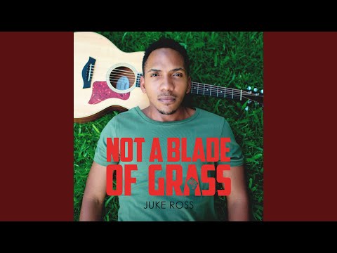 Video thumbnail for Not a Blade of Grass