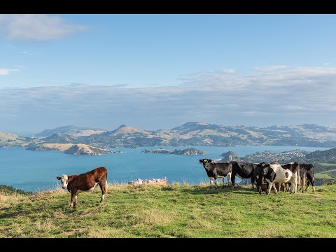 2 Heyward Point Road, Heyward Point, Otago, 3房, 2浴, 乡村住宅