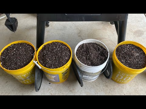 Expert #fig potting mix - tested five years with phenomenal results + #secret technique reveal