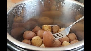 Instant Pot Perfect Boiled Baby Potatoes