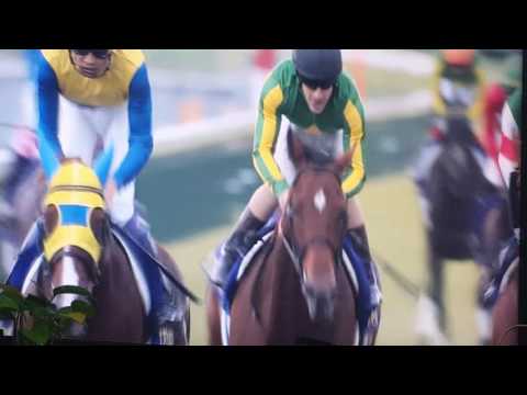 菊花賞G1~2016.10.23~