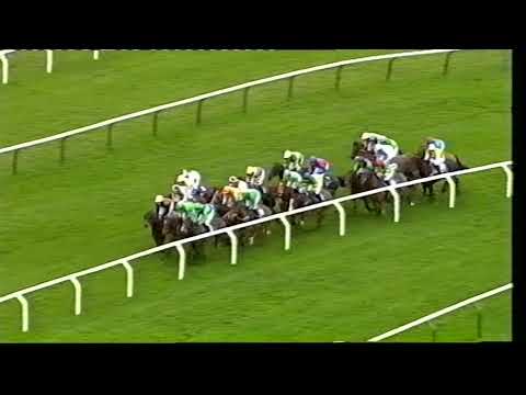 2009 Pertemps Final - Cheltenham Festival
