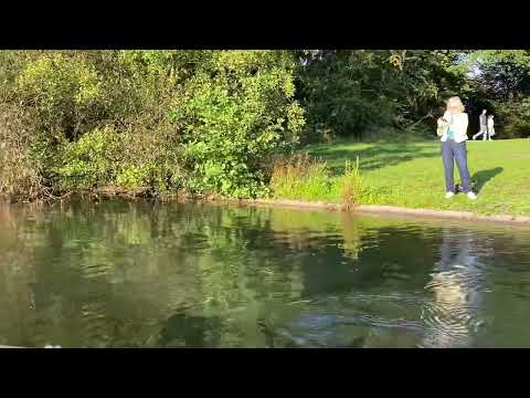 Floating Buddha Eneida Perez 6