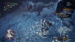 mhw［無言実況］