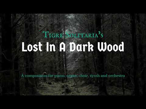 Lost In A Dark Wood ( Original Composition ) - Tigre Solitaria