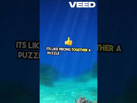 Mastering Parsing Techniques  Top Down vs  Bottom Up