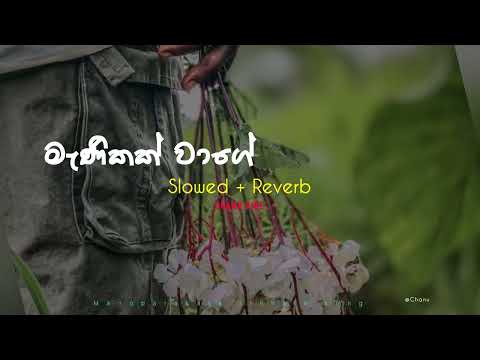Manikak wage - මැණිකක් වාගේ (slowed+reverb) chanu vibe