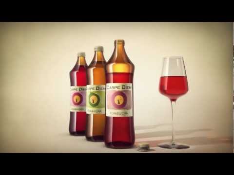 Carpe Diem Kombucha TV SPOT (German Version)