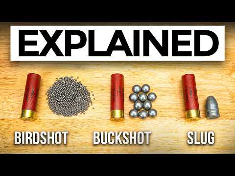 Shotgun Shells Explained (What Each Type Actually Does)
