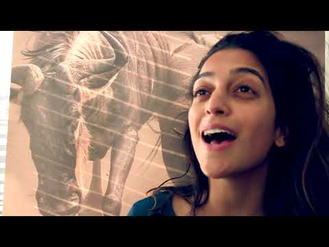 Exodus - THE GREAT MIGRATION (PROMO)