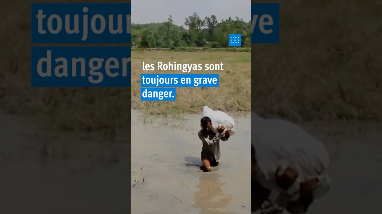 Rohingyas : Neuf ans depuis l’exode du Myanmar