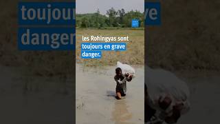 Rohingyas : Neuf ans depuis l’exode du Myanmar
