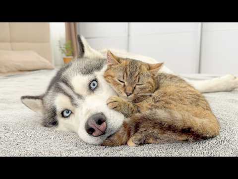 YouTube 썸네일