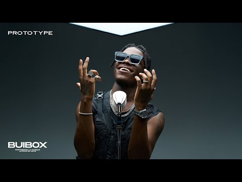 BUIBOX and Prototype Plvs