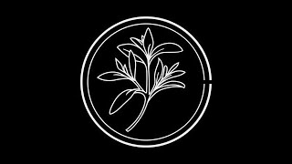 Cold Cave - The Laurels Of Erotomania