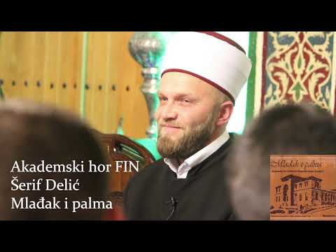 Šerif Delić - Mlađak i palma (Audio 2005)
