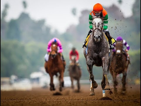 Breeders' Cup 2017 picks: Filly and Mare Sprint