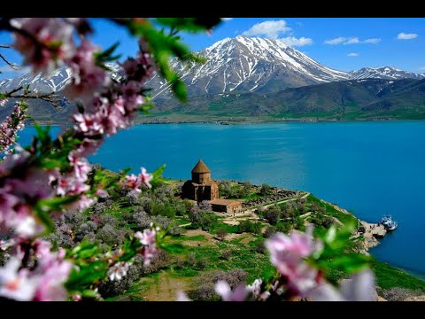 Good morning family 💚...The beautiful scene of flowers.