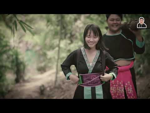 Txhaij Lauj - Tsis Muaj Xiv (Official MV)