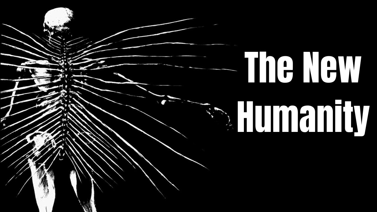 Body Horror Beyond Shock