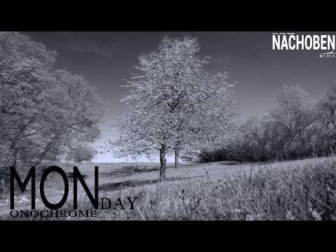 Monochrome Monday #16 - Bildende Kunst - Schwarz/Weiß Fotografie