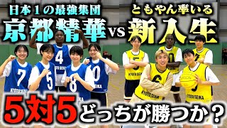 ここのめいちゃん流石すぎる - 【バスケ】日本一の高校京都精華vsともやん率いる新入生で5on5したらめちゃくちゃ白熱した戦いなった。Basketball
