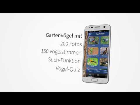 Vogel Id - Vögel im Garten Video