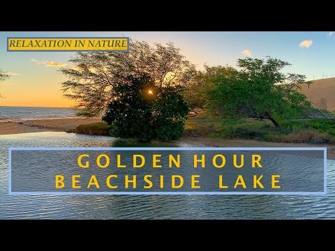 RELAXING BEACHSIDE LAKE - SUNSET HOURS —  [ 3 HOURS ] - [ 3:00:58 ] - [ HD 1080p ]
