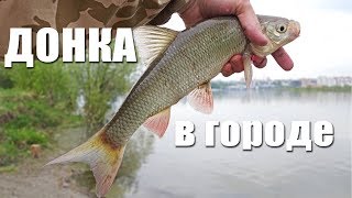 Ловля рыбы на удочку с применением кормушки