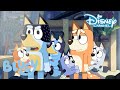 Bluey | Backpackers ? | Disney Channel NL