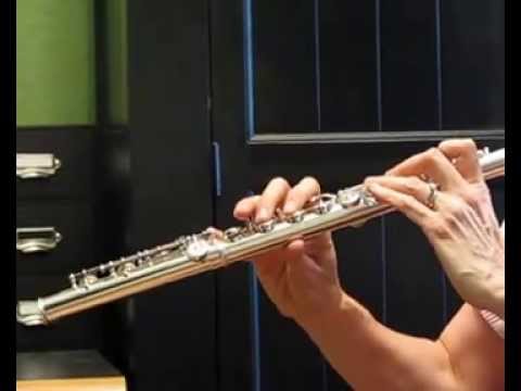 Trevor James Recital II Flute For Sale (used) - (Low to Mid Register)