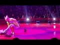 Apple Circus With Beautiful Dogs