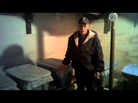 The Wild Weasel Worm Farm