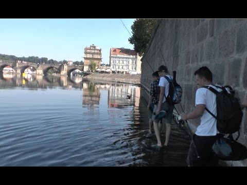 Carp team Exil - Stalking carp in Prague