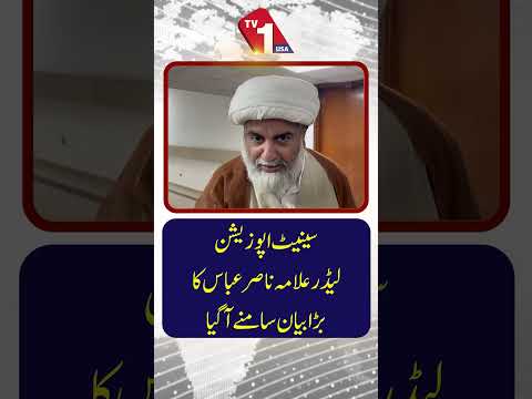 سینیٹ میں اپوزیشن لیڈر علامہ ناصر عباس کا اہم بیان