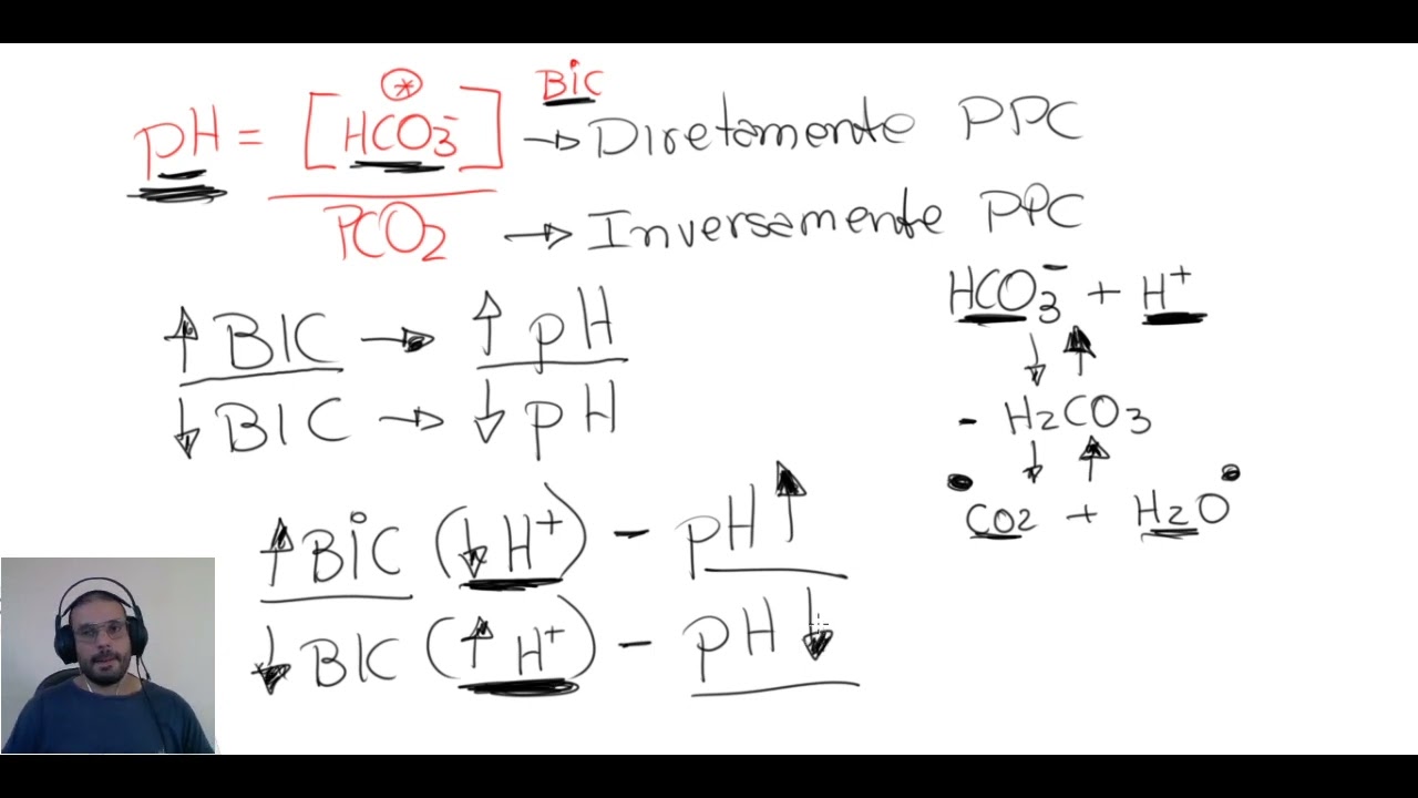 GASOMETRIA ARTERIAL - AULA 1 - REVISÃO FISIOLOGICA.